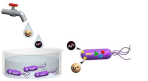 Biosensor
