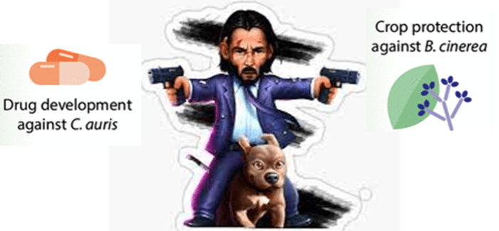 Keanumicinas_antifungicos_MITLAB